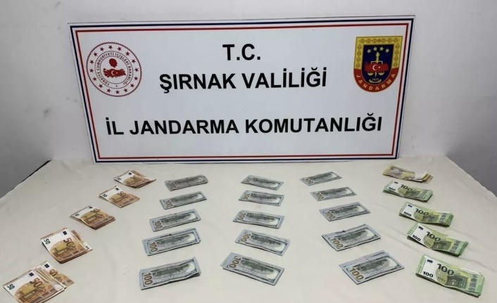 Şırnak’ta operasyon 103 gözaltı