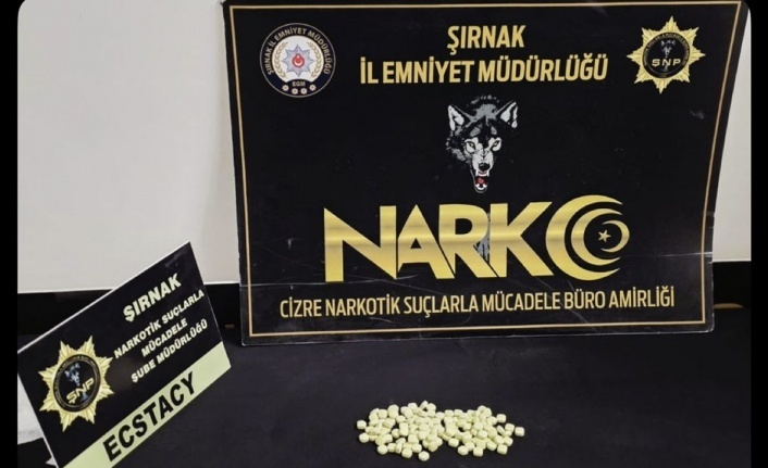 Cizre’de uyuşturucu operasyonu