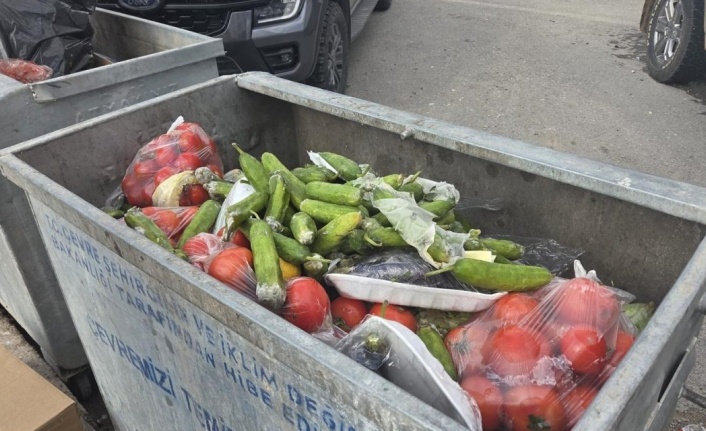 Çöpte Gıda toplayan vatandaş yürek burktu